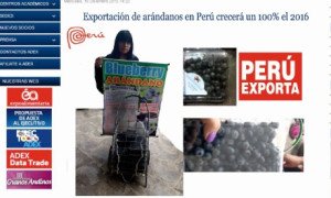 peruexporta